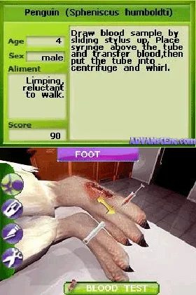 Zoo Vet - Endangered Animals (USA) screen shot game playing